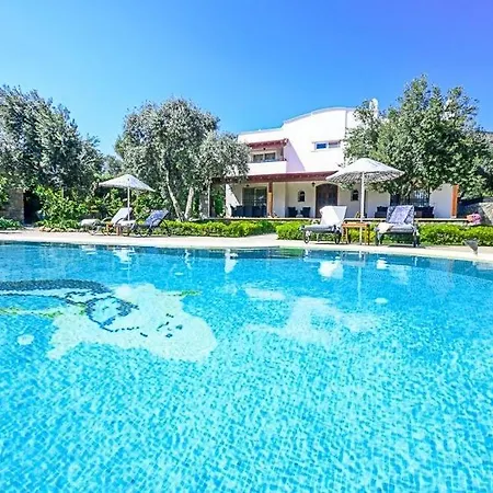 Sleeps 8 Pool Air Con Wifi 바이즈